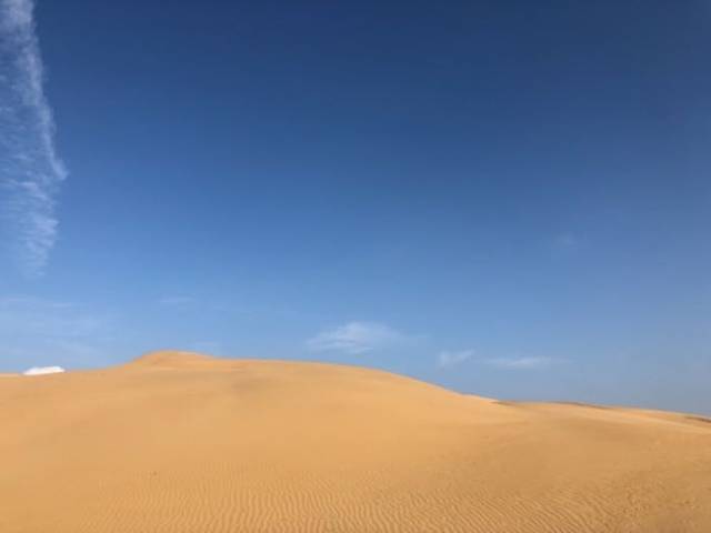 成吉思汗陵旅游区