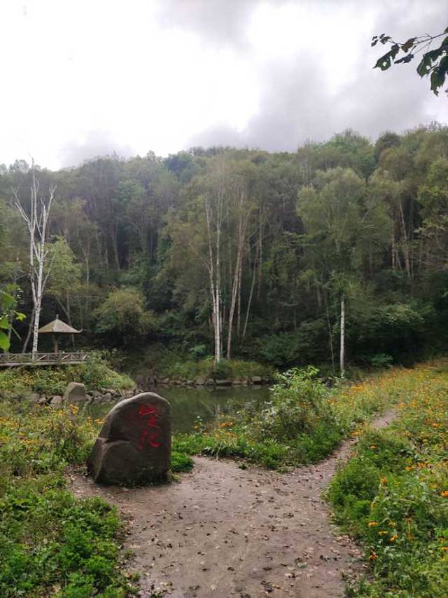 青山国家森林公园