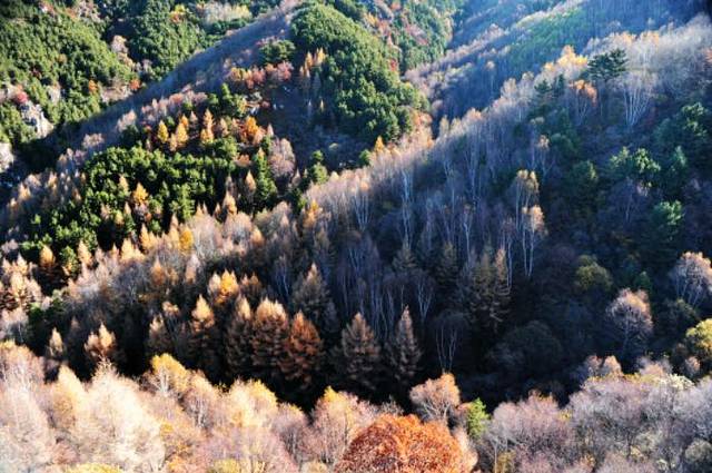 翠云山旅游度假区
