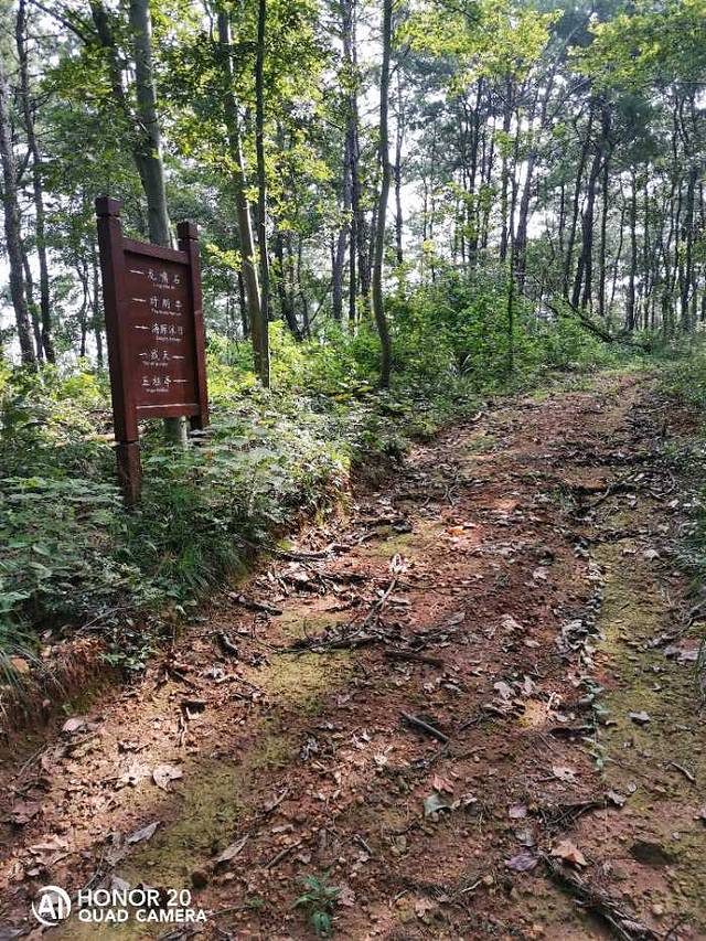 石莲洞国家森林公园