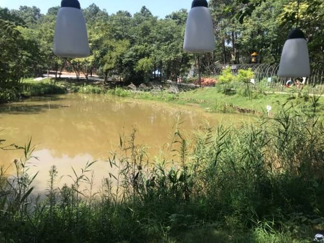 松鼠咔咔森林乐园