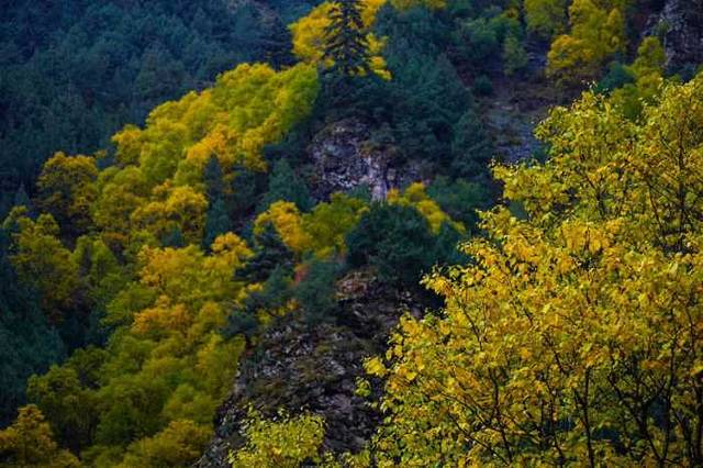 祁连山冰沟河景区