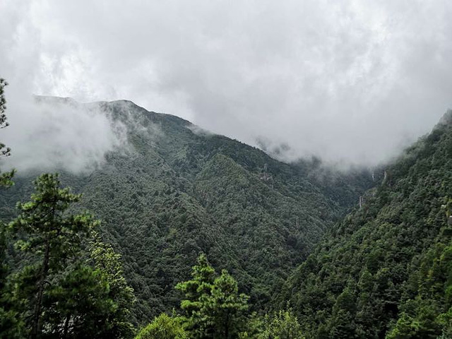 "_苍山"的评论图片