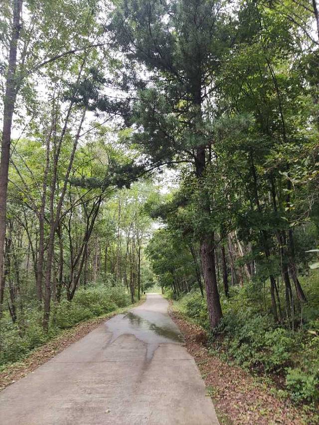 青山国家森林公园