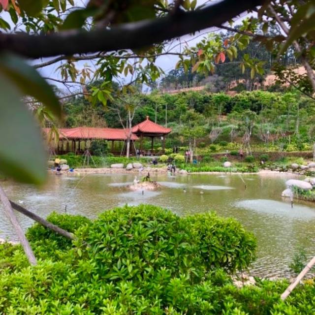 塔斗山与望海塔