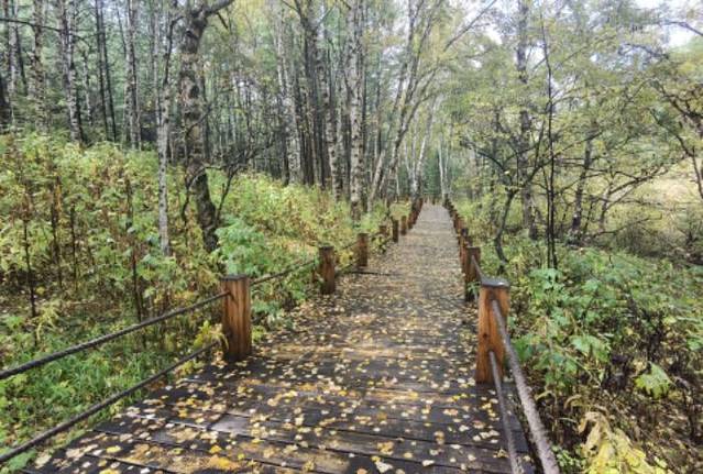 翠云山旅游度假区