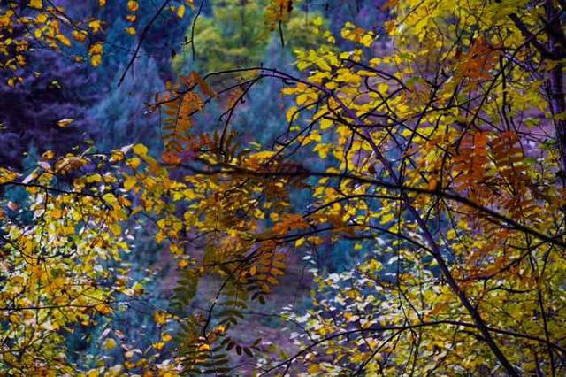 祁连山冰沟河景区
