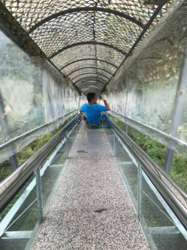 大石崮森林公园