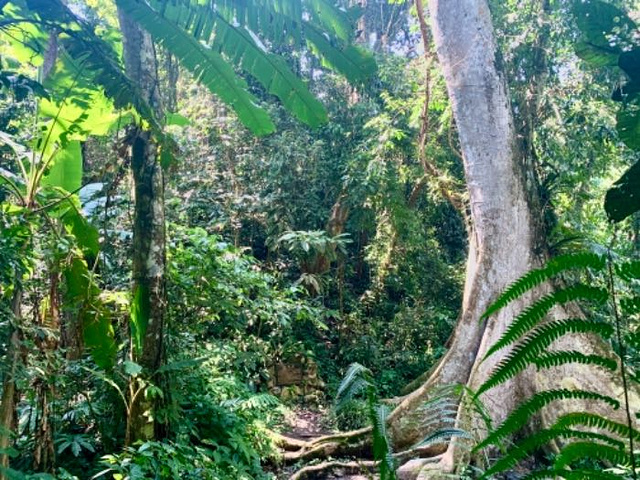 中科院西雙版納熱帶植物園