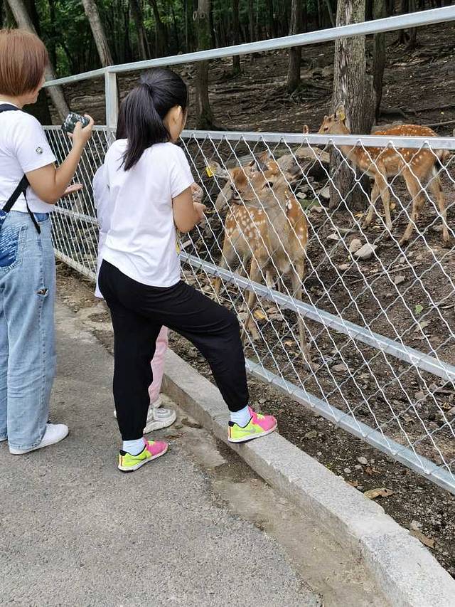 长寿国家森林公园