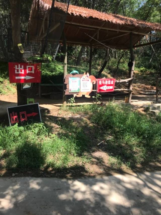 松鼠咔咔森林乐园