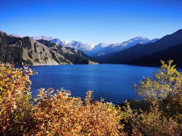 新疆维吾尔自治区博物馆