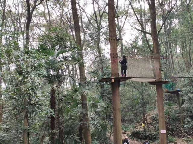 重庆飞悦森林探险乐园