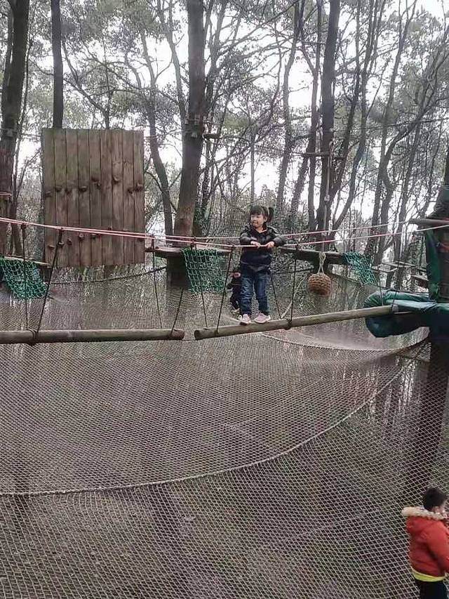 重庆飞悦森林探险乐园