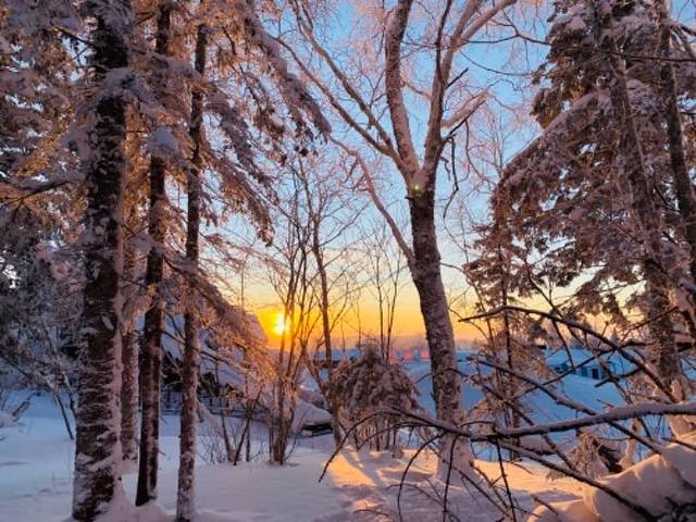 亚雪驿站十里画廊