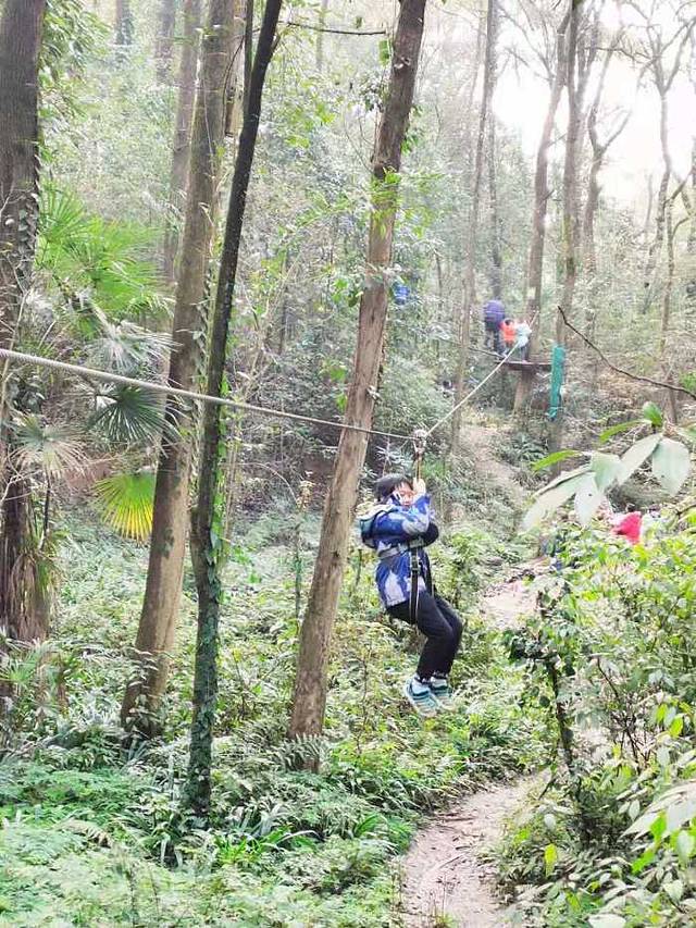 重庆飞悦森林探险乐园
