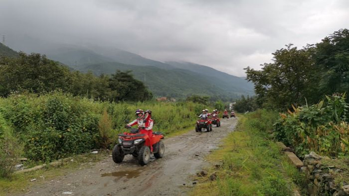 "_崇圣寺三塔文化旅游区"的评论图片