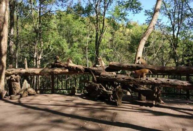 太阳河森林公园