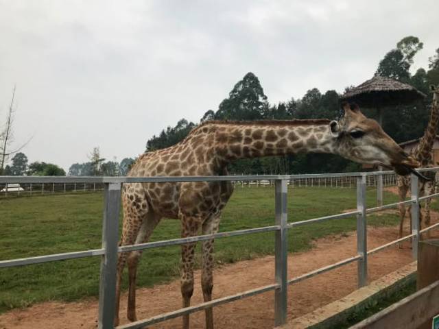 黄龙溪欢乐田园