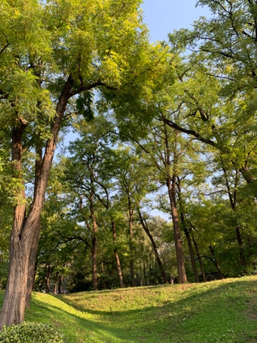 "性格开朗大方，有很高的职业道德和内在修养，人也十分善良，是个值得给大家推介的好导游_八达岭长城"的评论图片