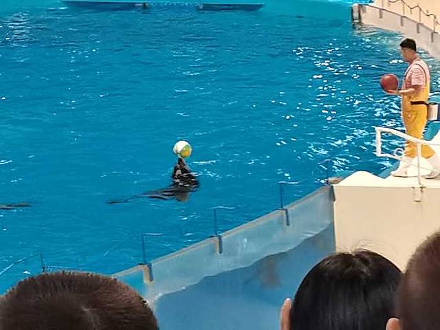 泉城欧乐堡海洋极地世界