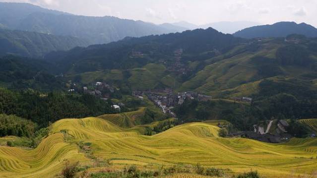 龙脊梯田