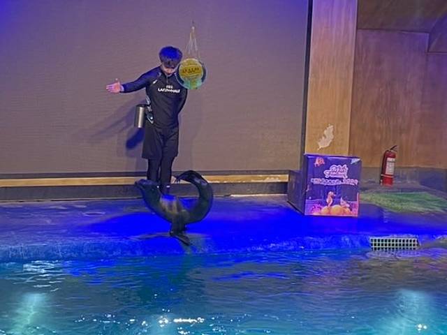 宁夏幻太奇海洋公园