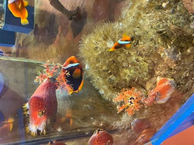 宁夏幻太奇海洋公园