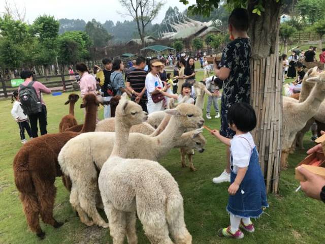 黄龙溪欢乐田园