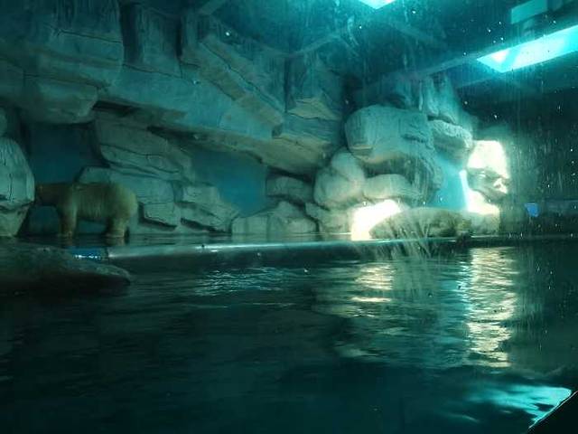 泉城欧乐堡海洋极地世界