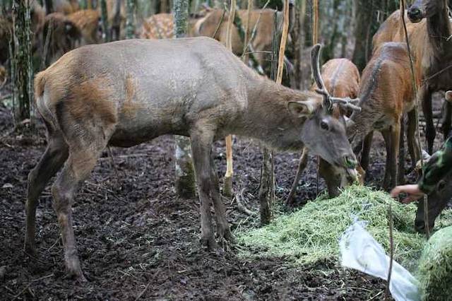 太阳河森林公园