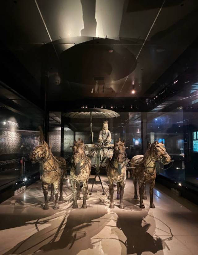 《驼铃传奇》秀