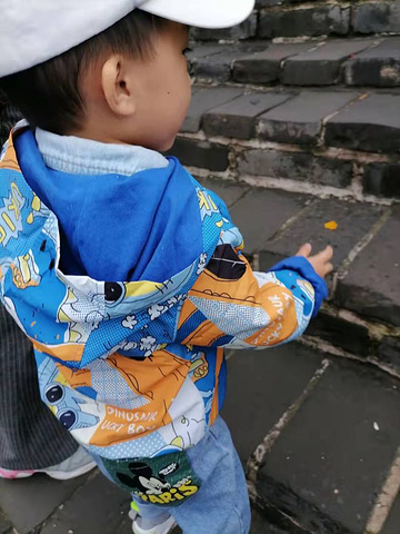 "今天天气寒冷，一直在下雨☔️，不过不到长城非好汉的女汉子也报着孩子一路向上👆爬_八达岭长城"的评论图片