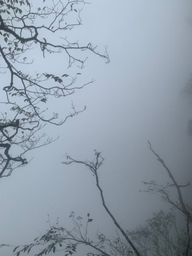 天门山国家森林公园-鬼谷栈道旅游景点攻略图