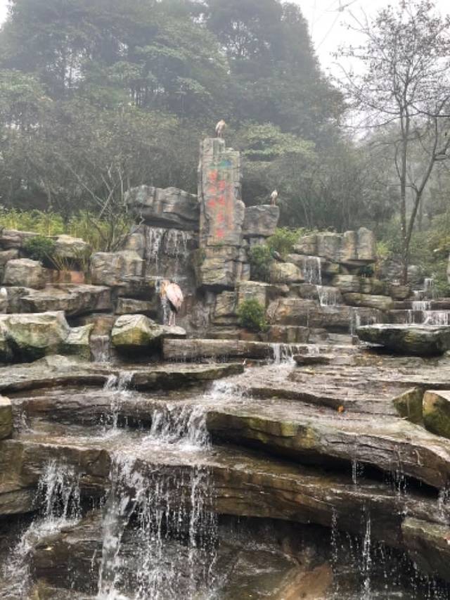 碧峰峡野生动物世界