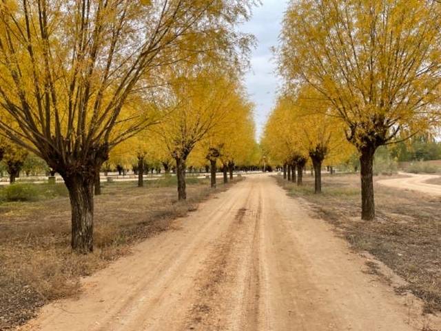 黄沙古渡原生态旅游区