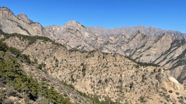 宁夏贺兰山国家森林公园