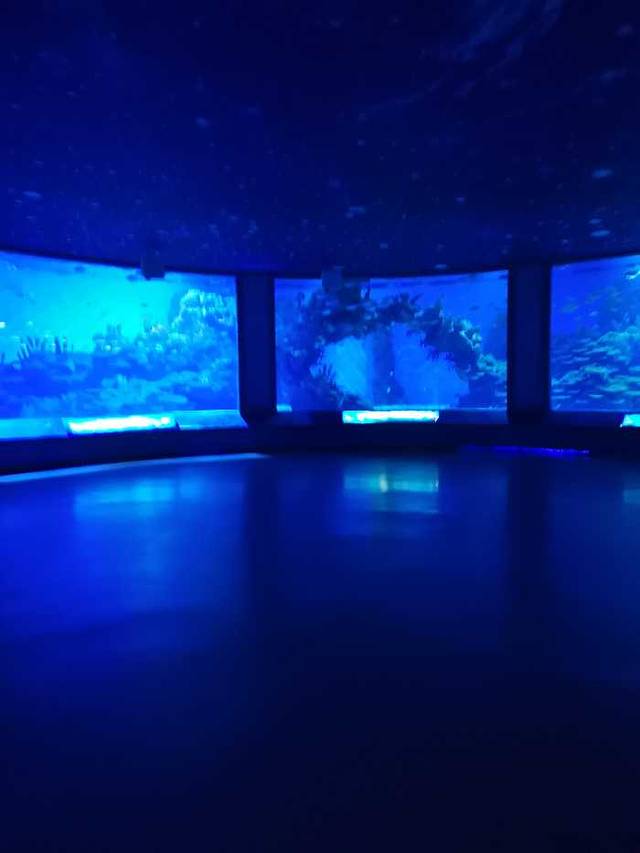 海合安武汉极地海洋公园