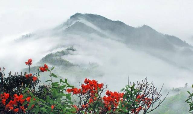 阳明山国家森林公园