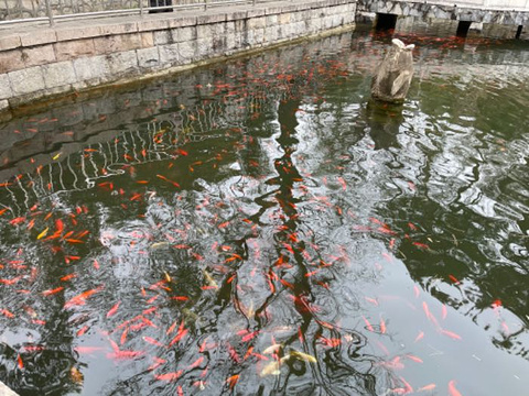 青龙峡风景区旅游景点攻略图