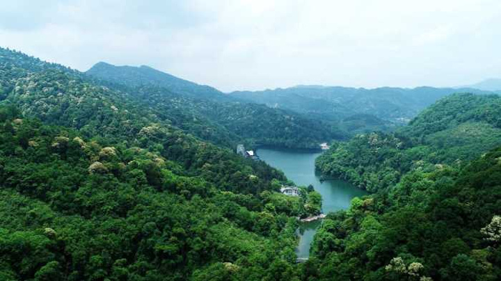 陽明山國家森林公園