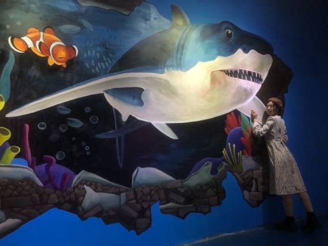 安庆海昌海洋探索馆