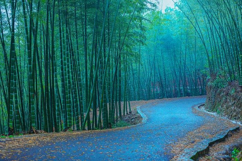 阳明山国家森林公园旅游景点攻略图