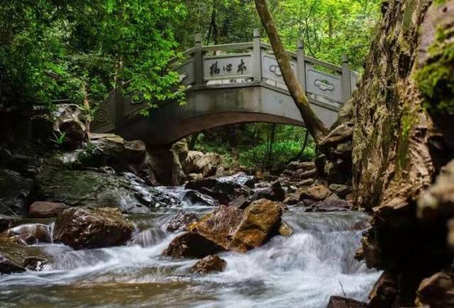 阳明山国家森林公园