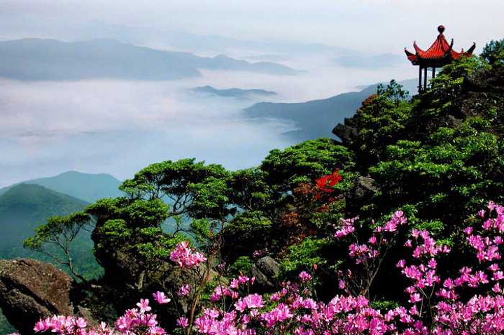 "_阳明山国家森林公园"的评论图片