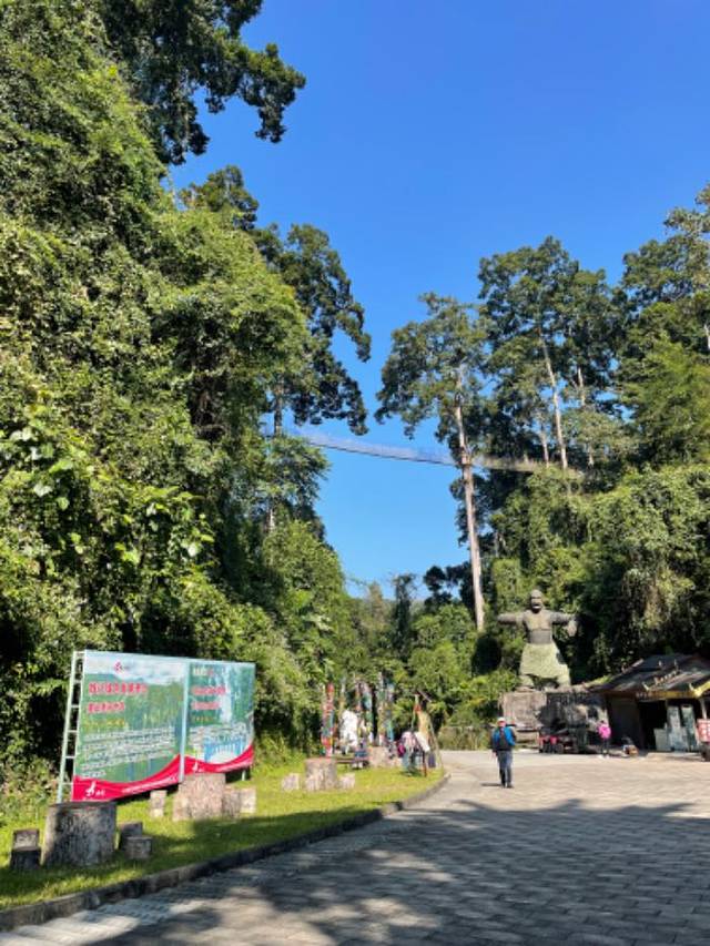 西双版纳热带雨林国家公园望天树景区