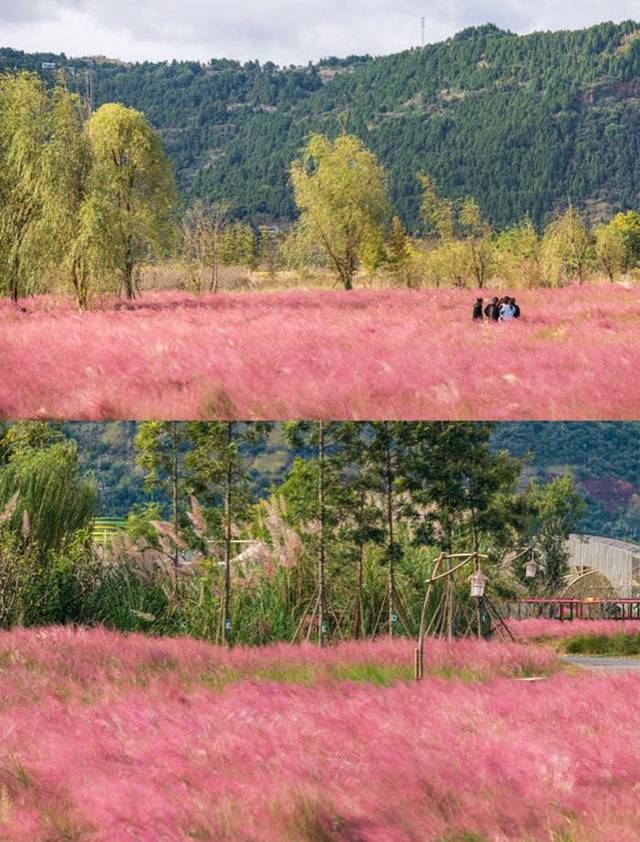 凤仪湾中法农业科技园