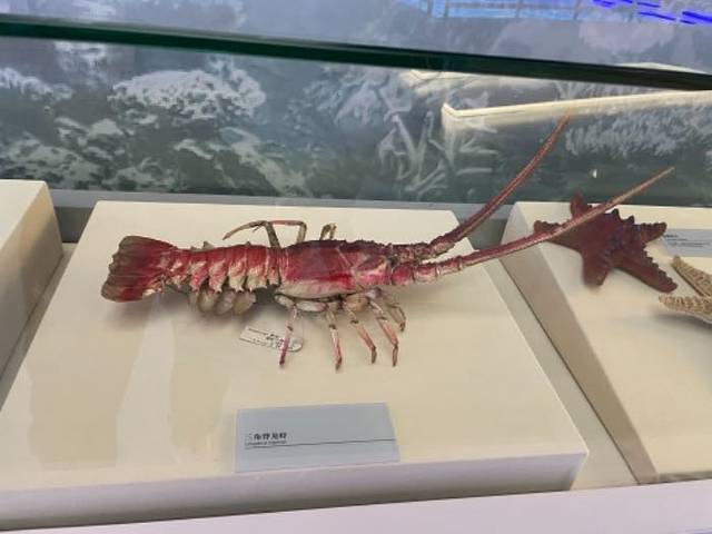 中国航海博物馆