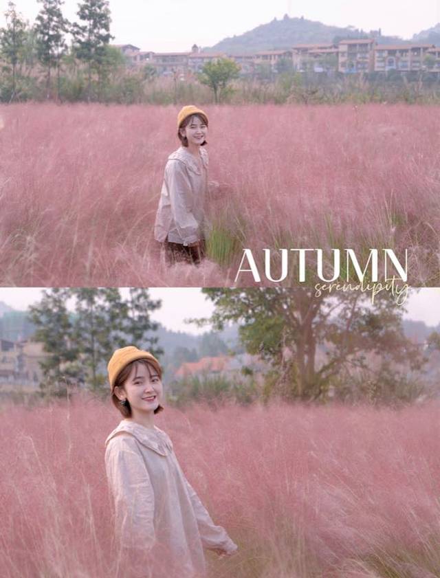 凤仪湾中法农业科技园