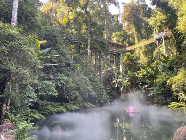 西双版纳热带雨林国家公园望天树景区